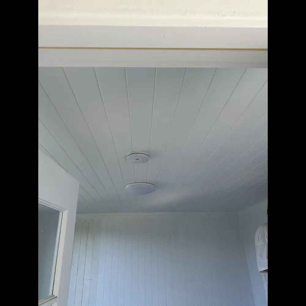 Smoke alarms